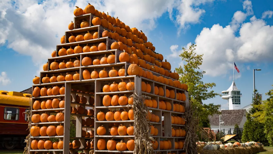 dpa-pumpkins