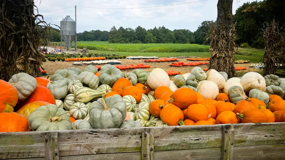 pumpkins-tourism