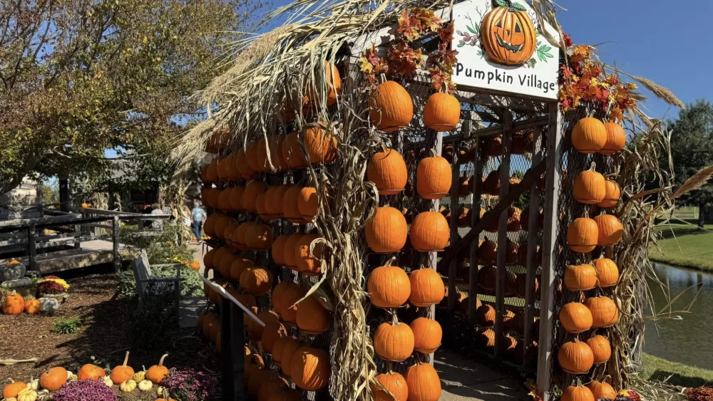 dpa-pumpkin-village-2