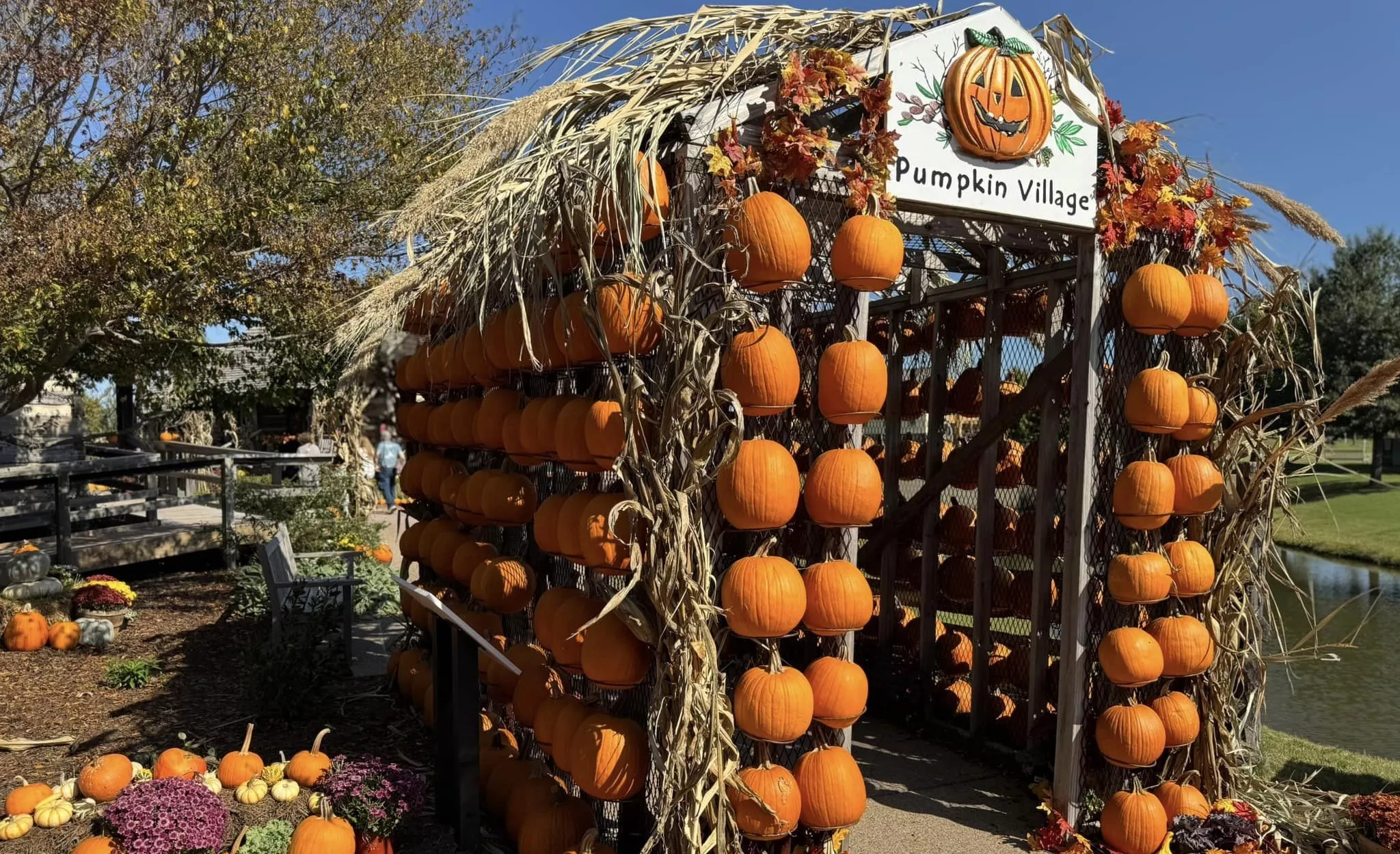 dpa-pumpkin-village-2