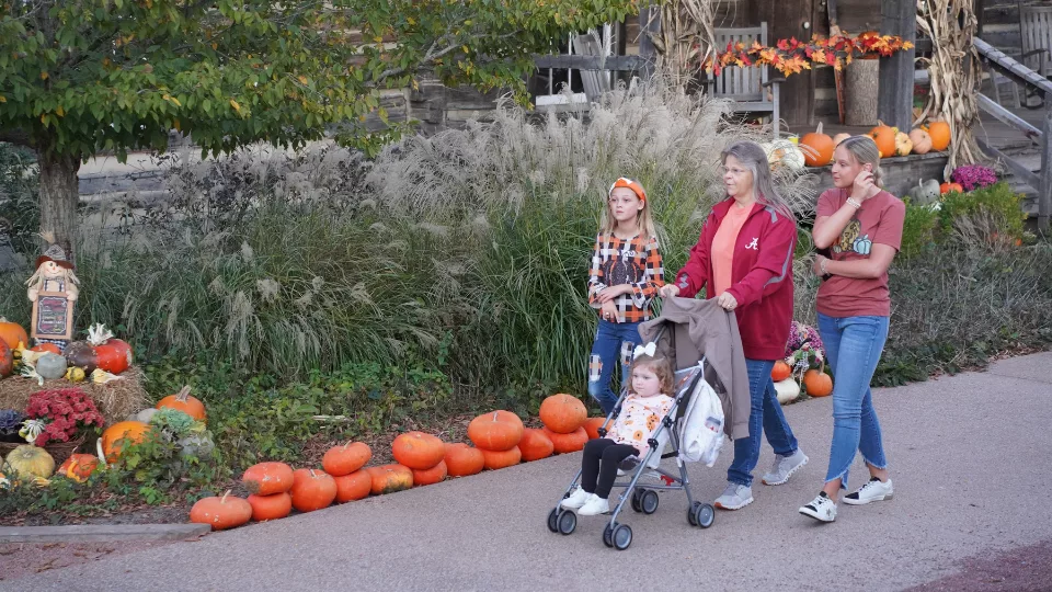 dpa-pumpkin-village-3