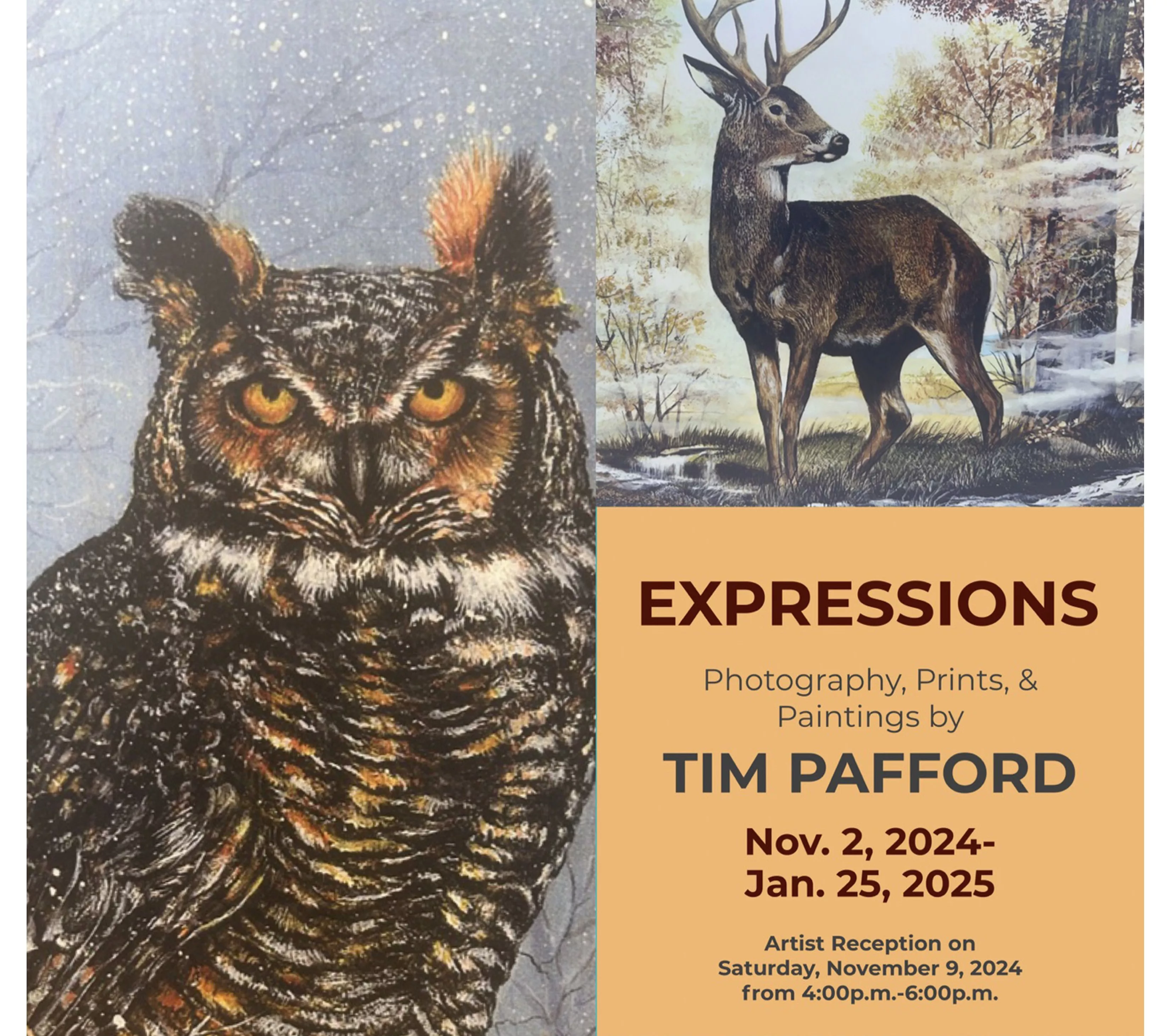 dixie-tim-pafford