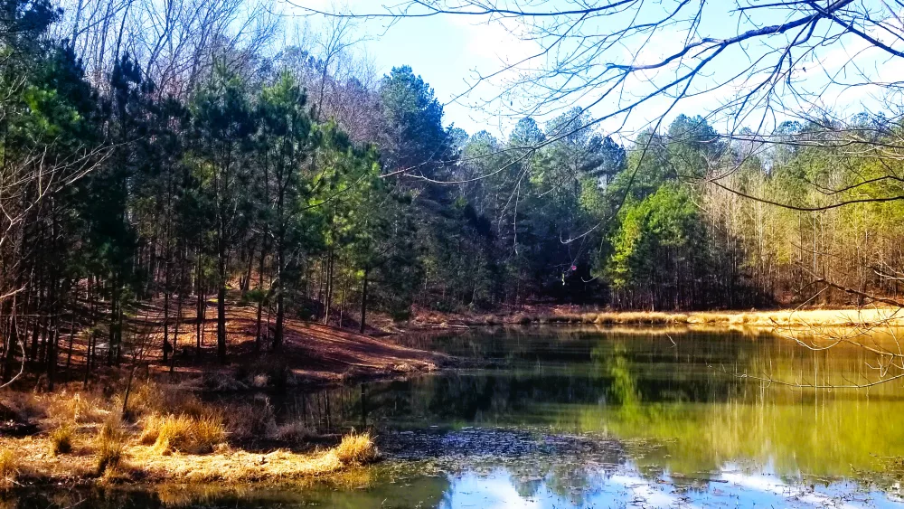 eiffel-trout-pond