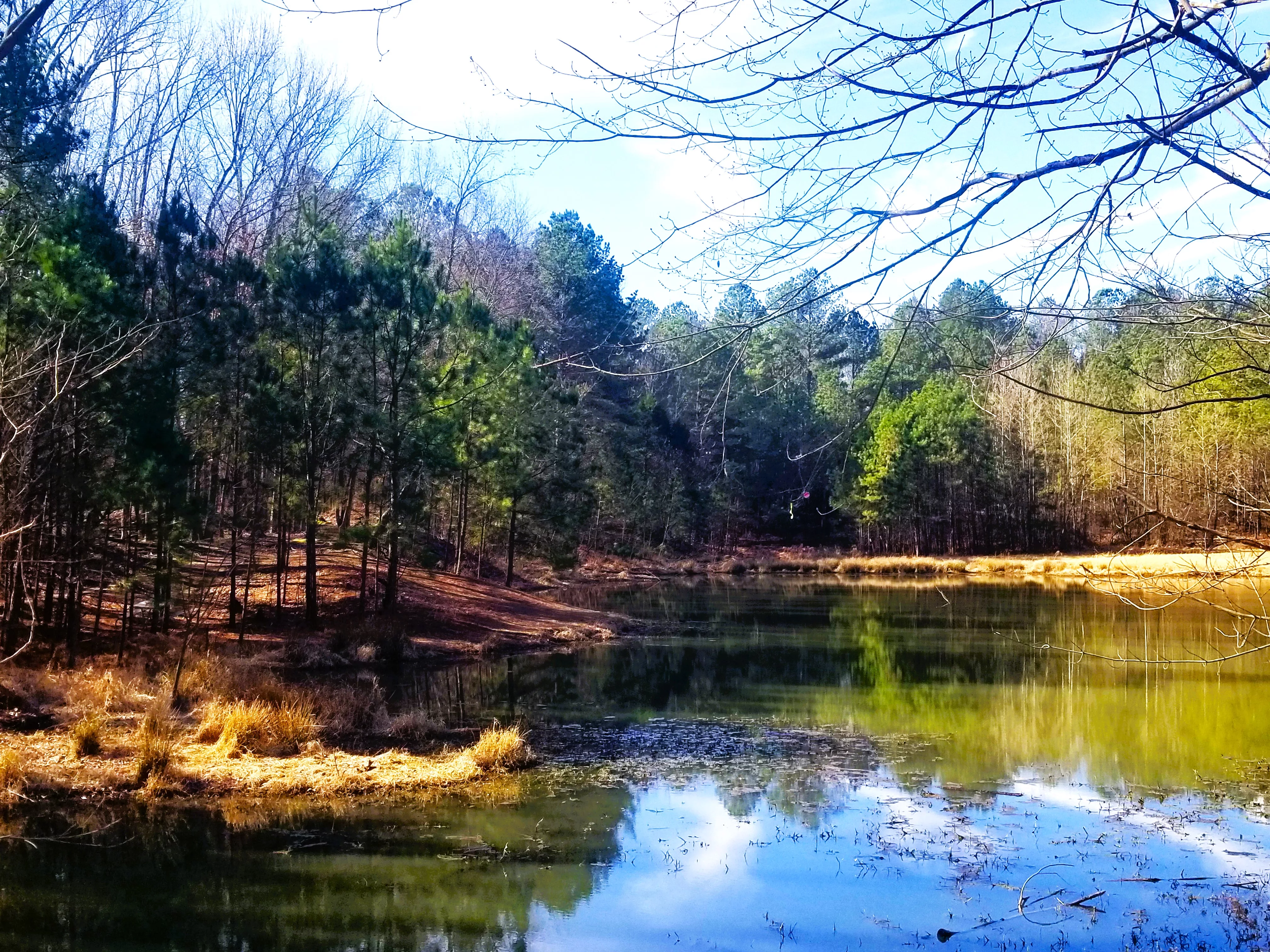 eiffel-trout-pond