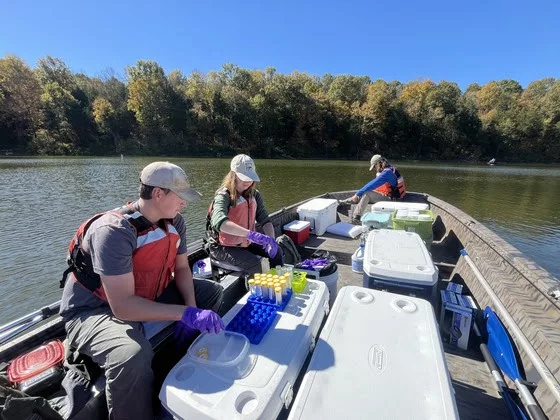 asian-carp-taylorsville-lake