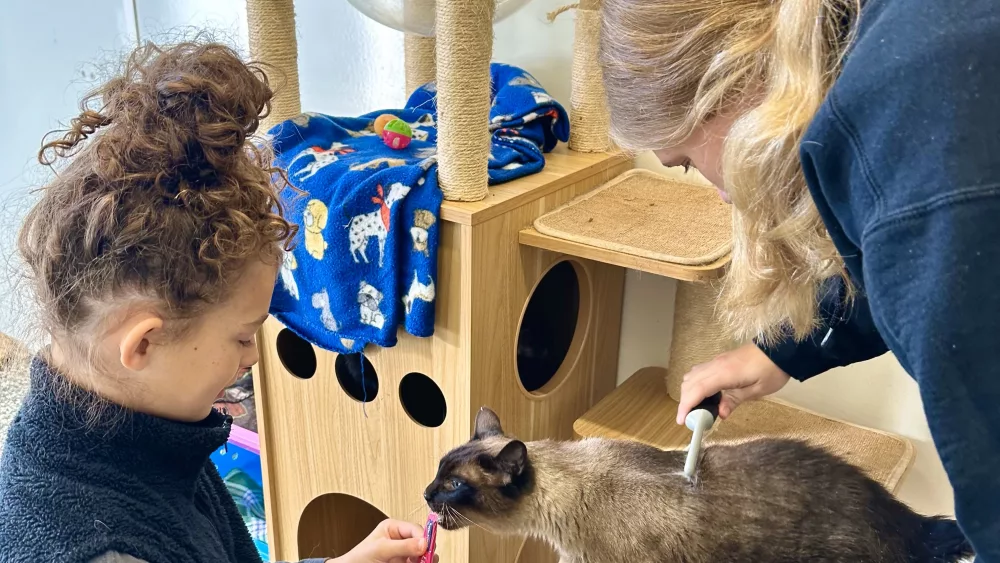 gcac-makenzy-stanley-lucy-curry-at-carroll-county-humane-society