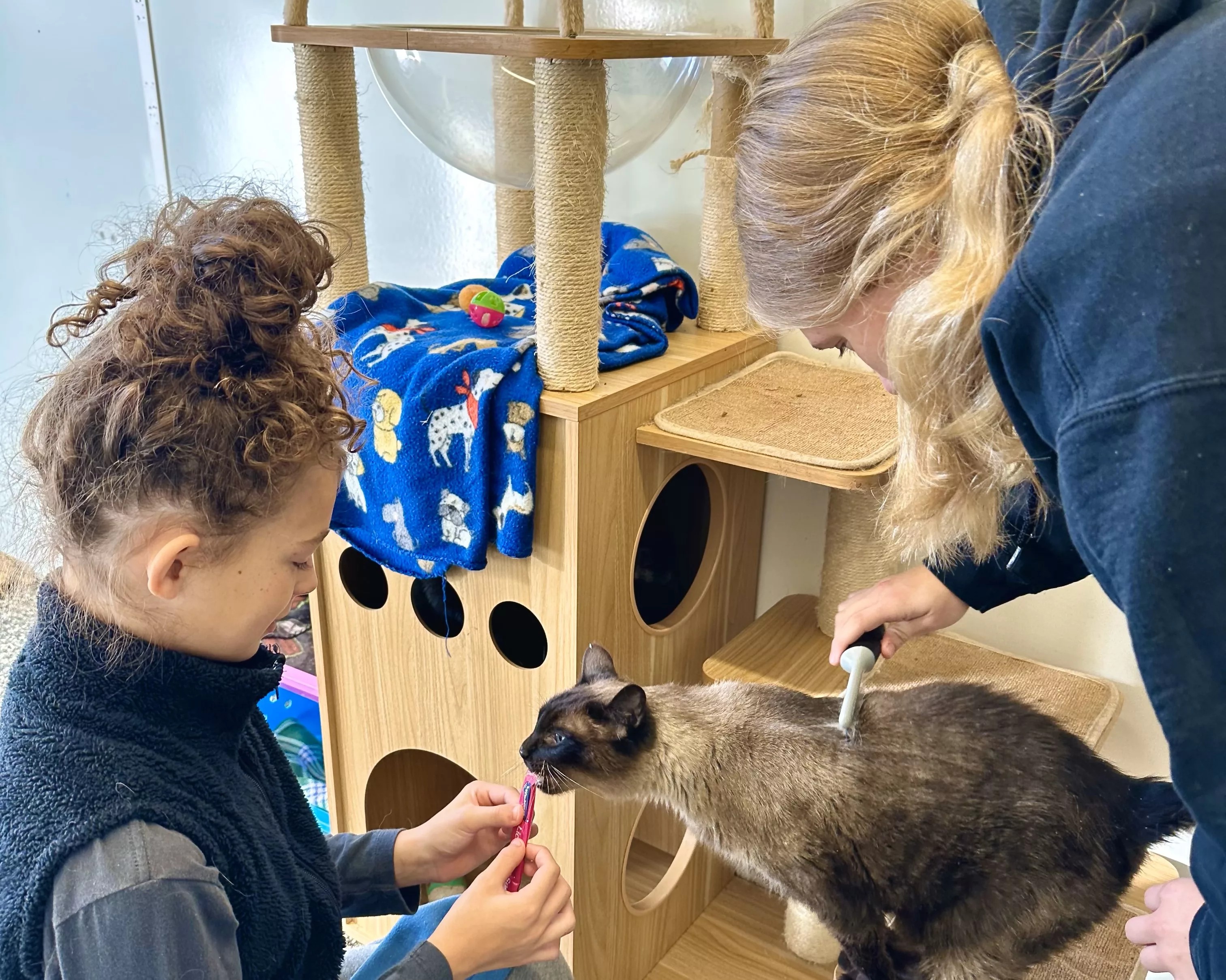 gcac-makenzy-stanley-lucy-curry-at-carroll-county-humane-society