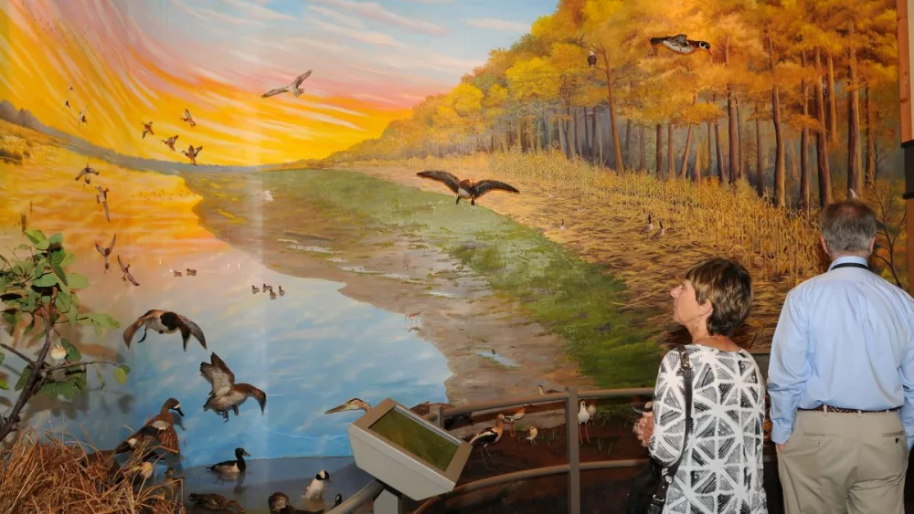 refuge-mural