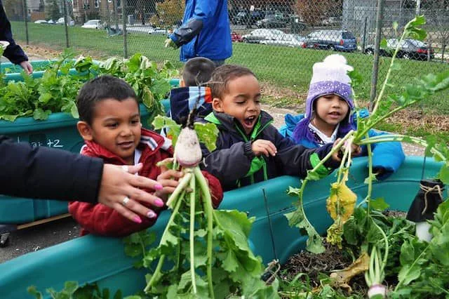 local-food-network