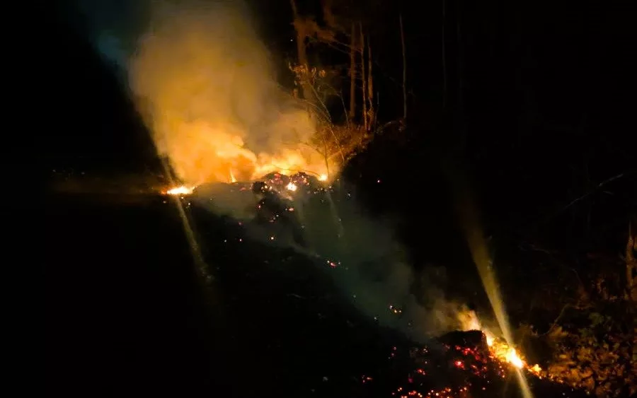 pl-brush-fire