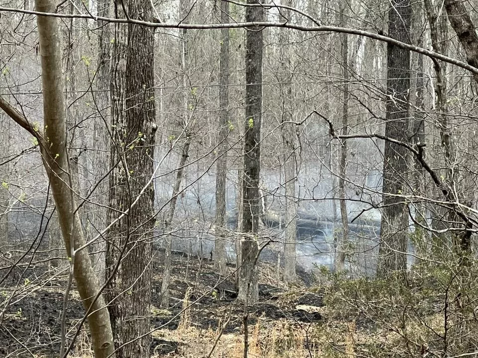 lbl-wildfire-march-29