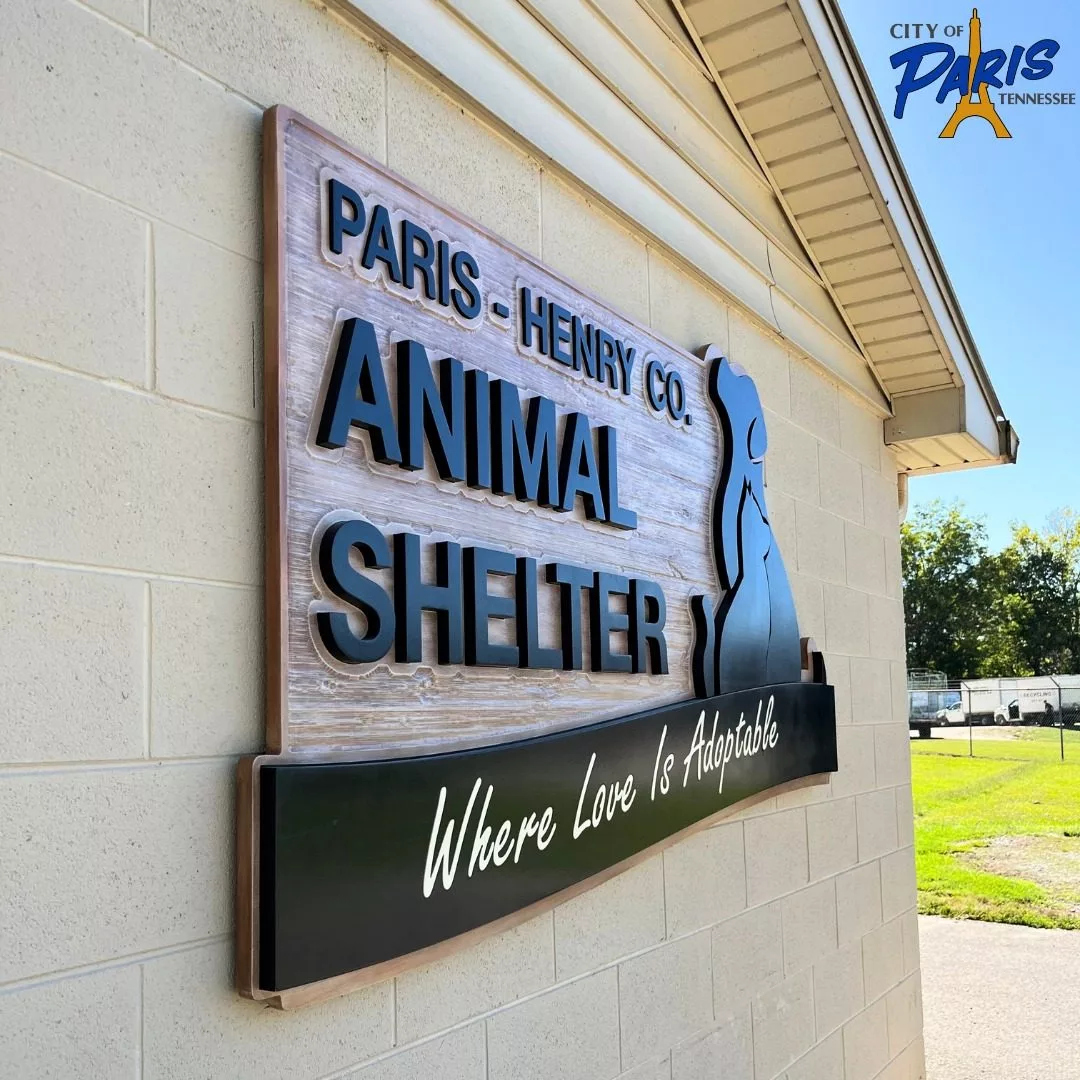 animal-shelter-2