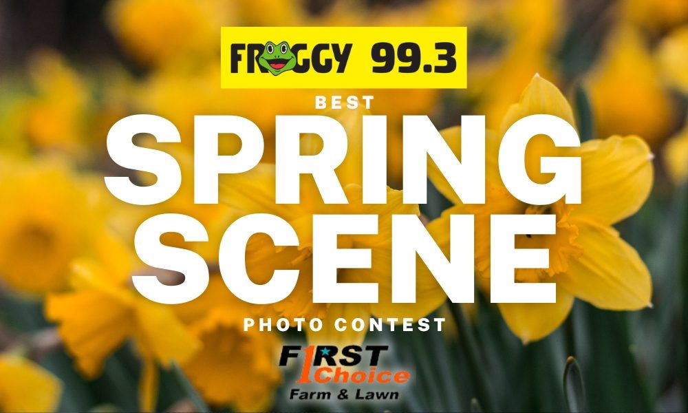 Spring Day Competition Best Spring Scene Photo Contest Rules | radio NWTN