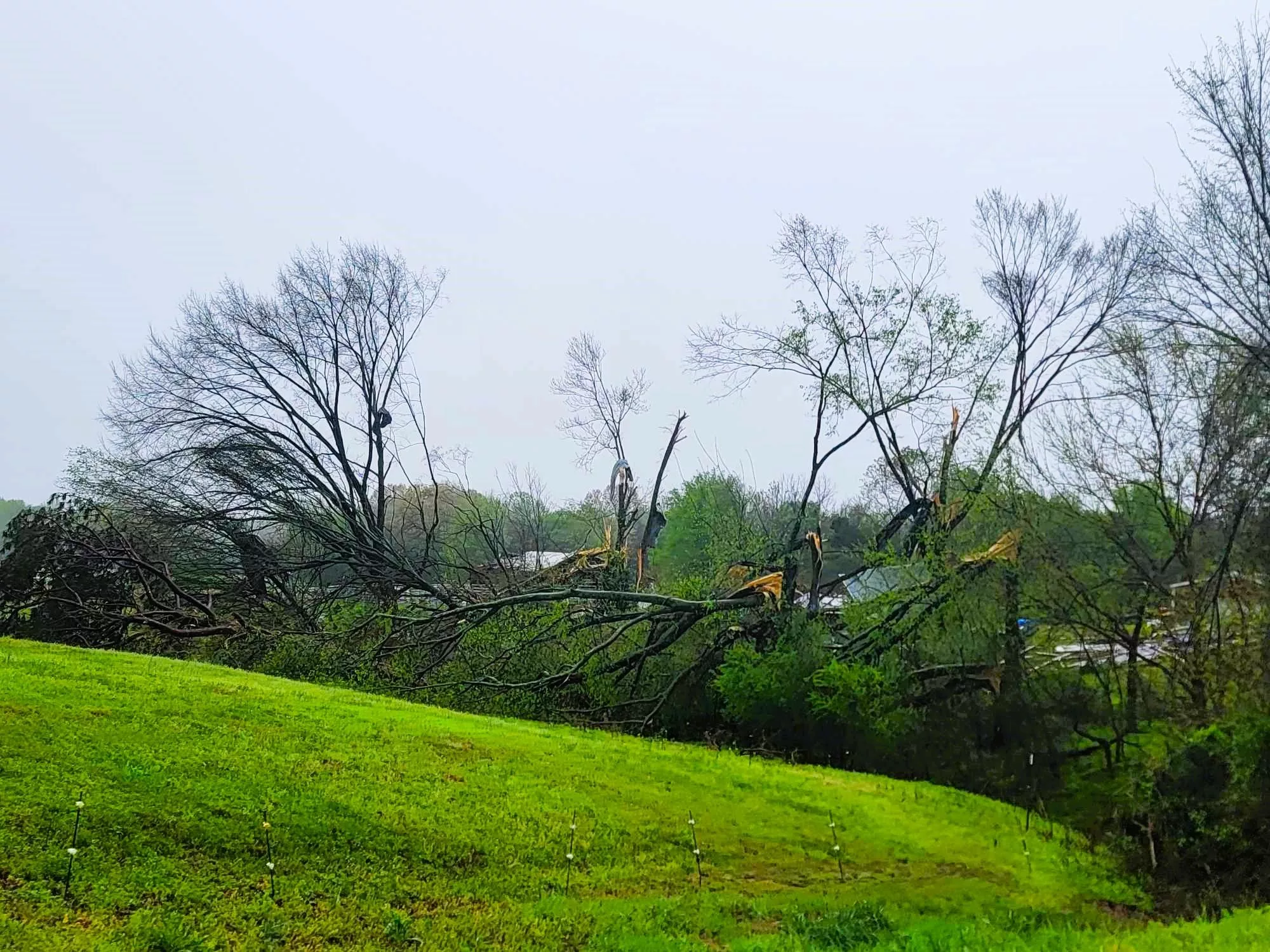 pleasant-hill-rd-tornado-cheryl-4