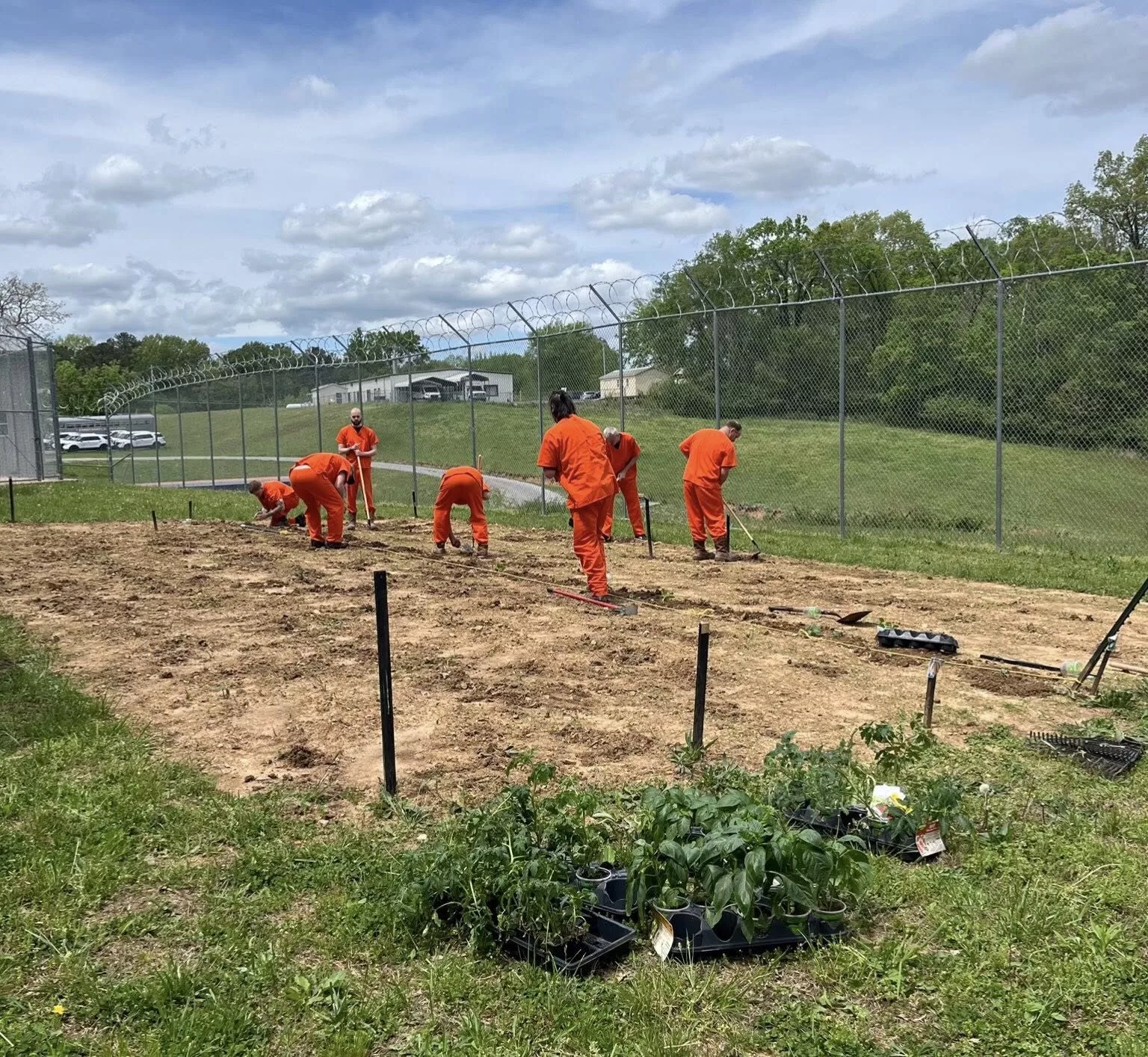 stew-co-inmate-garden