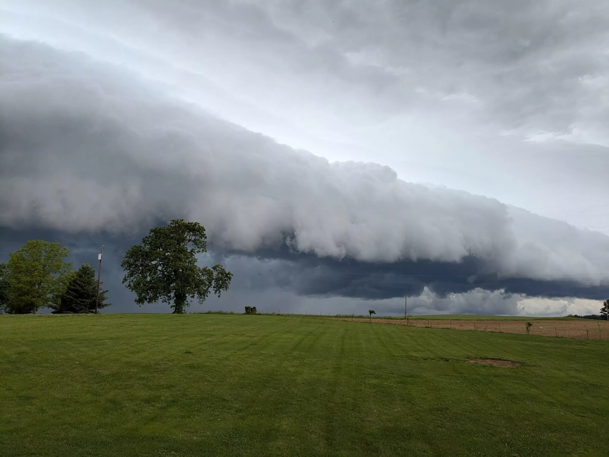 shelf-cloud-by-elmina-yoder