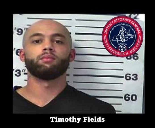 timothy-fields