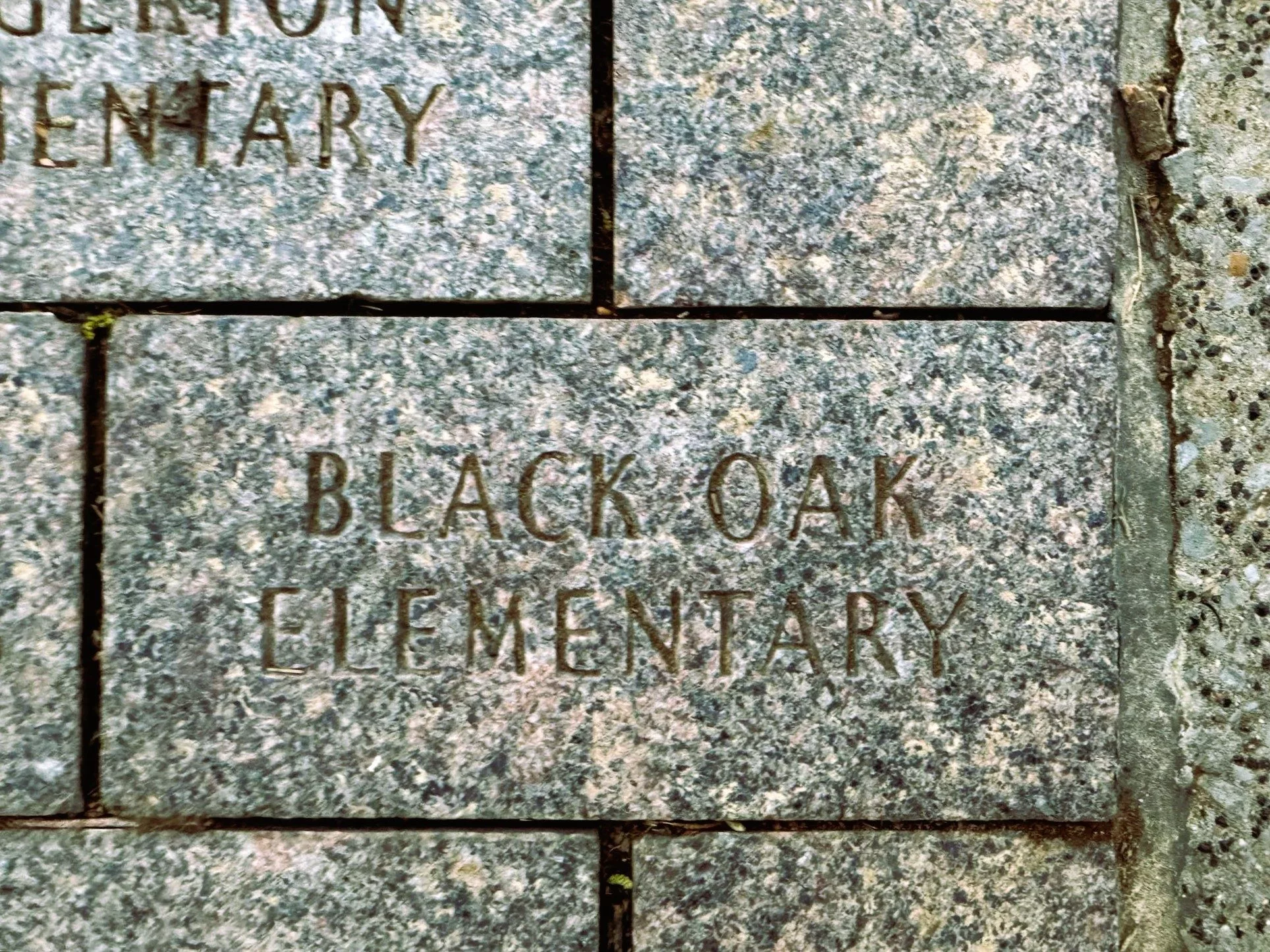 black-oak-elem