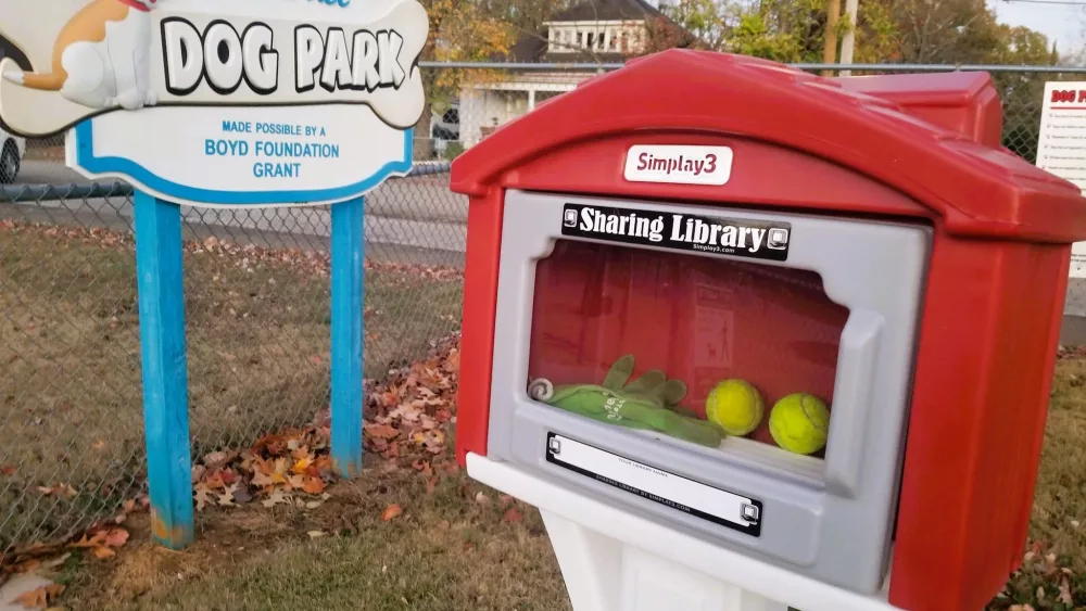 dog-park