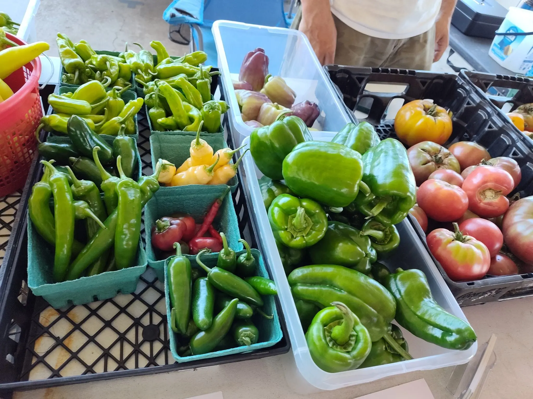 hc-farmers-produce-2