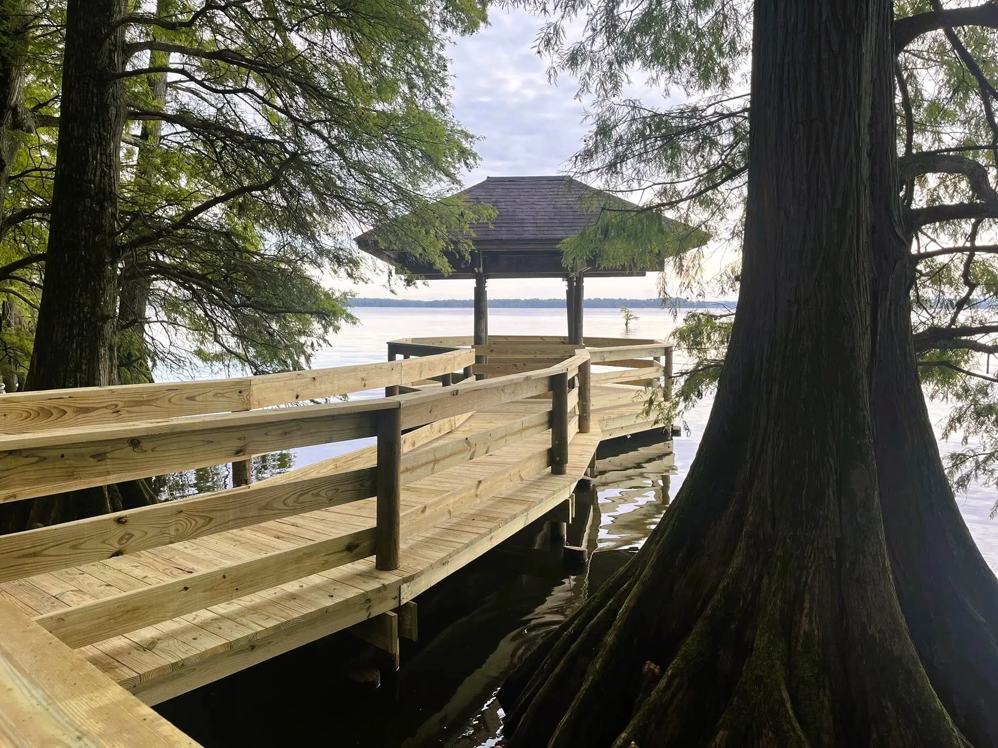 reelfoot-boardwalk