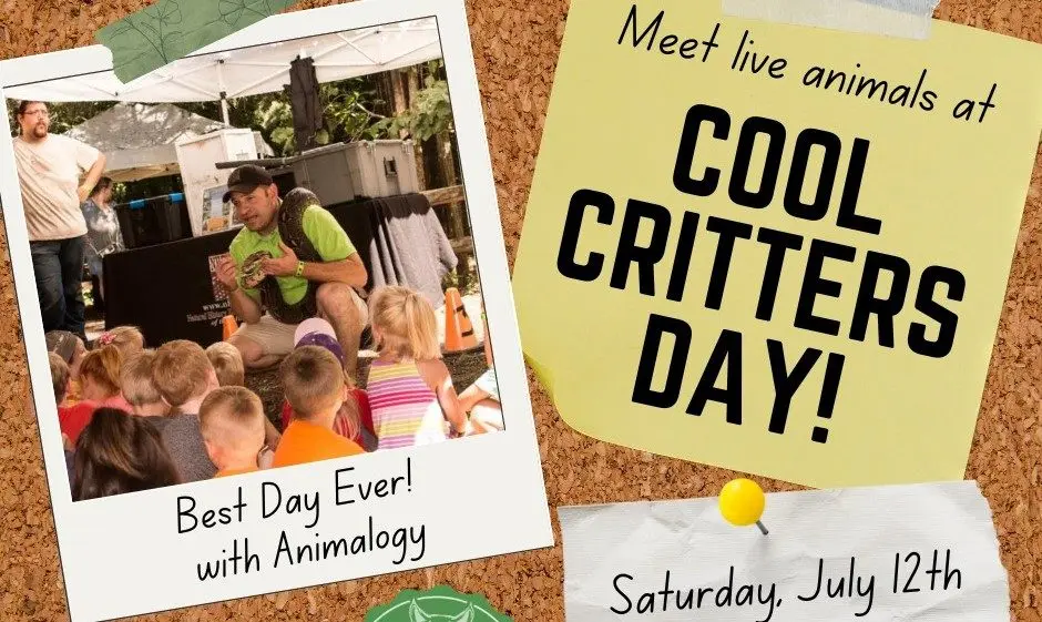 cool-critters-day