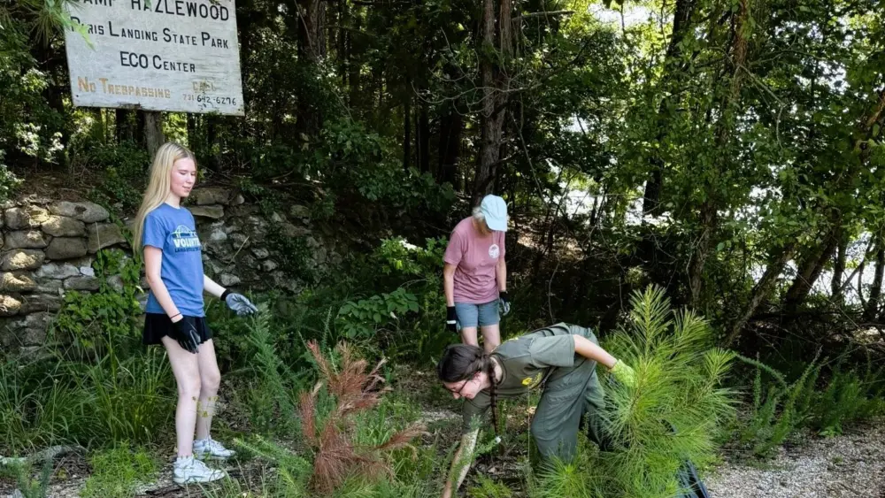 camp-hazelwood-cleanup