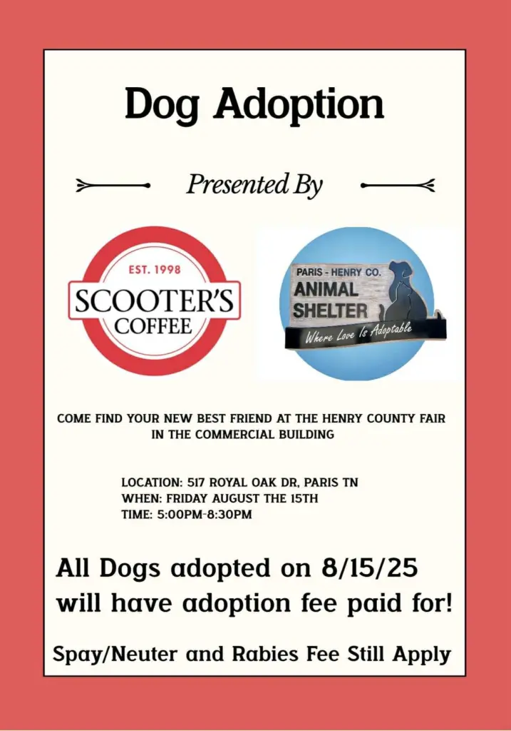 fair-dog-adoption-2