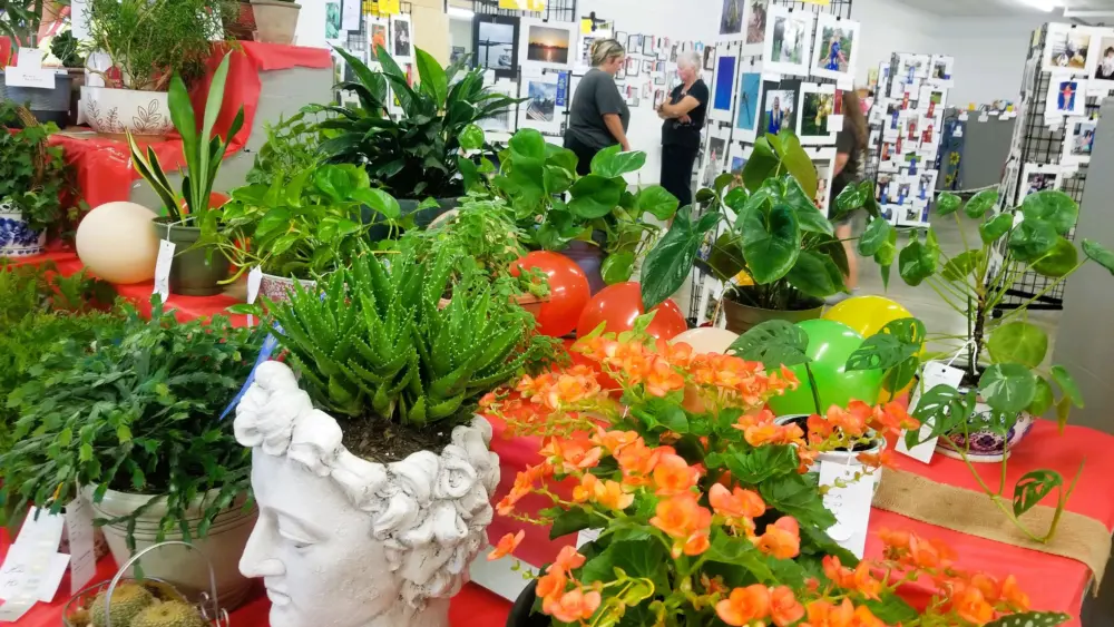 fair-25-photos
