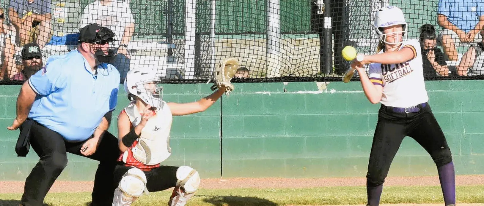 uc-fall-sports-pics-aug-14-2025-2