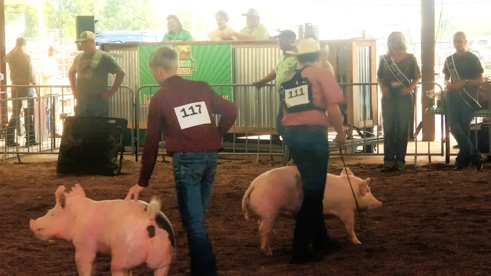 fair-hog-show-25-kaylee-michelle-ranson-fix