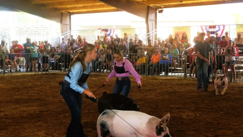 fair-hog-show-25-two-girls