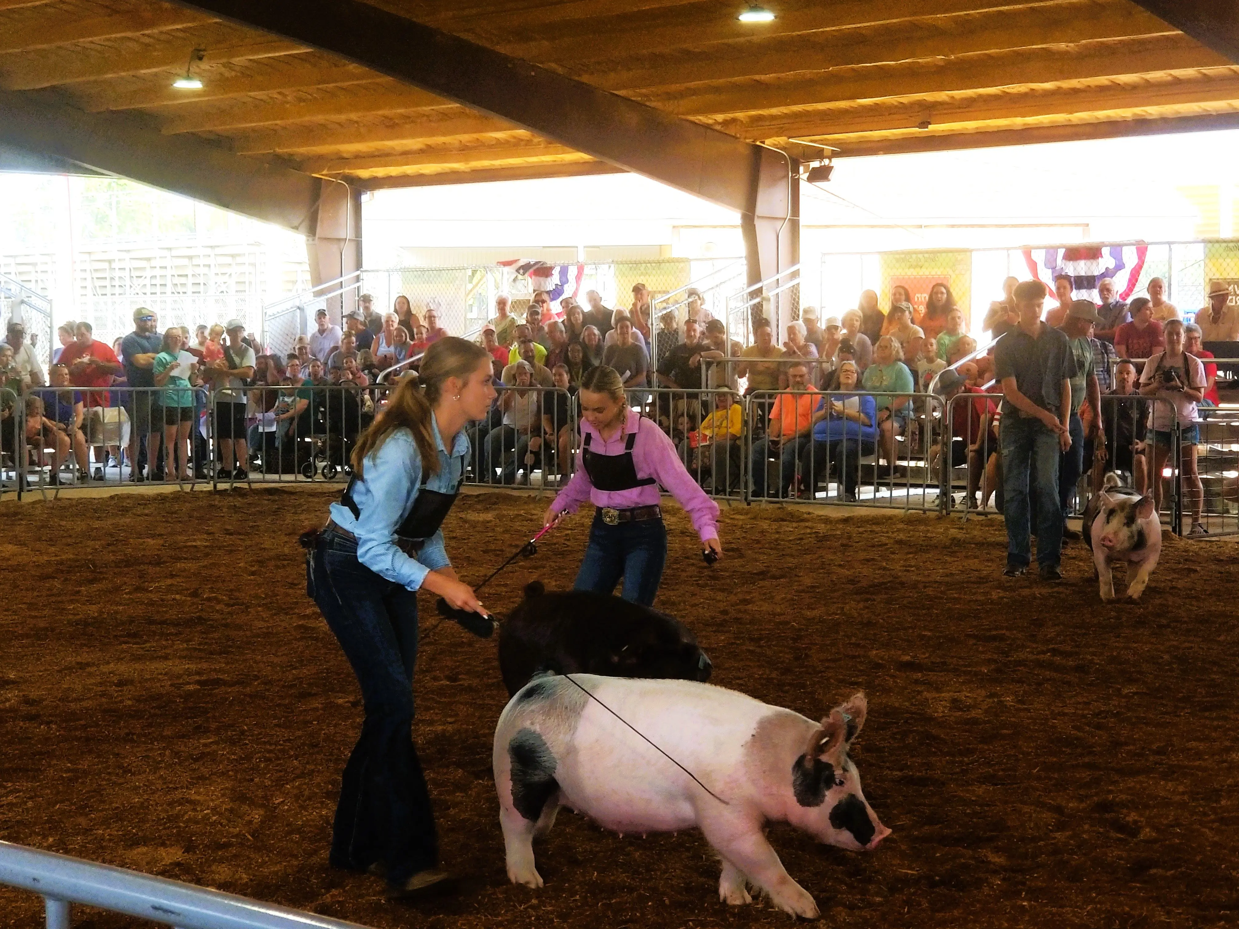 fair-hog-show-25-two-girls