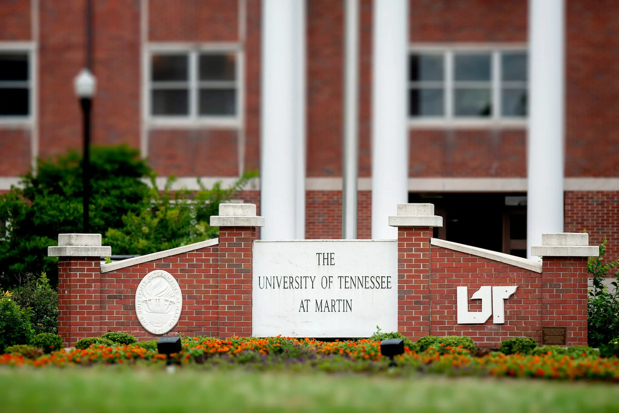 utm-free-application-week
