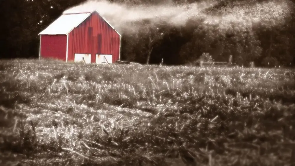 callow-co-tobacco-barn-callow-co-pic