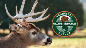 State Archery Antlered-Only Deer Hunt Set