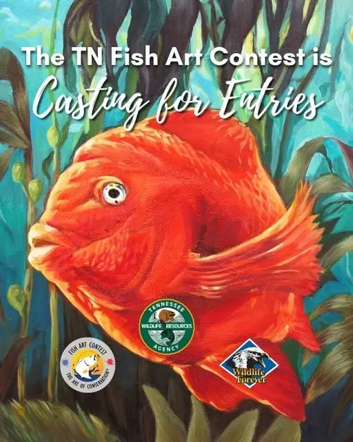 twra-fish-art