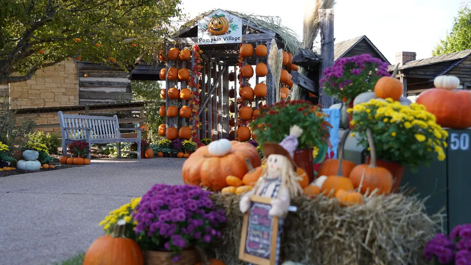 dpa-pumpkin-vill