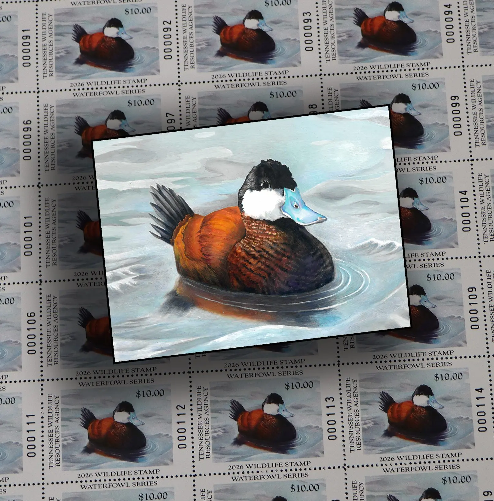 2025_duck_stamp_comp