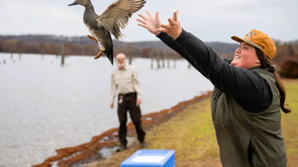 refuge-banding-winter-25