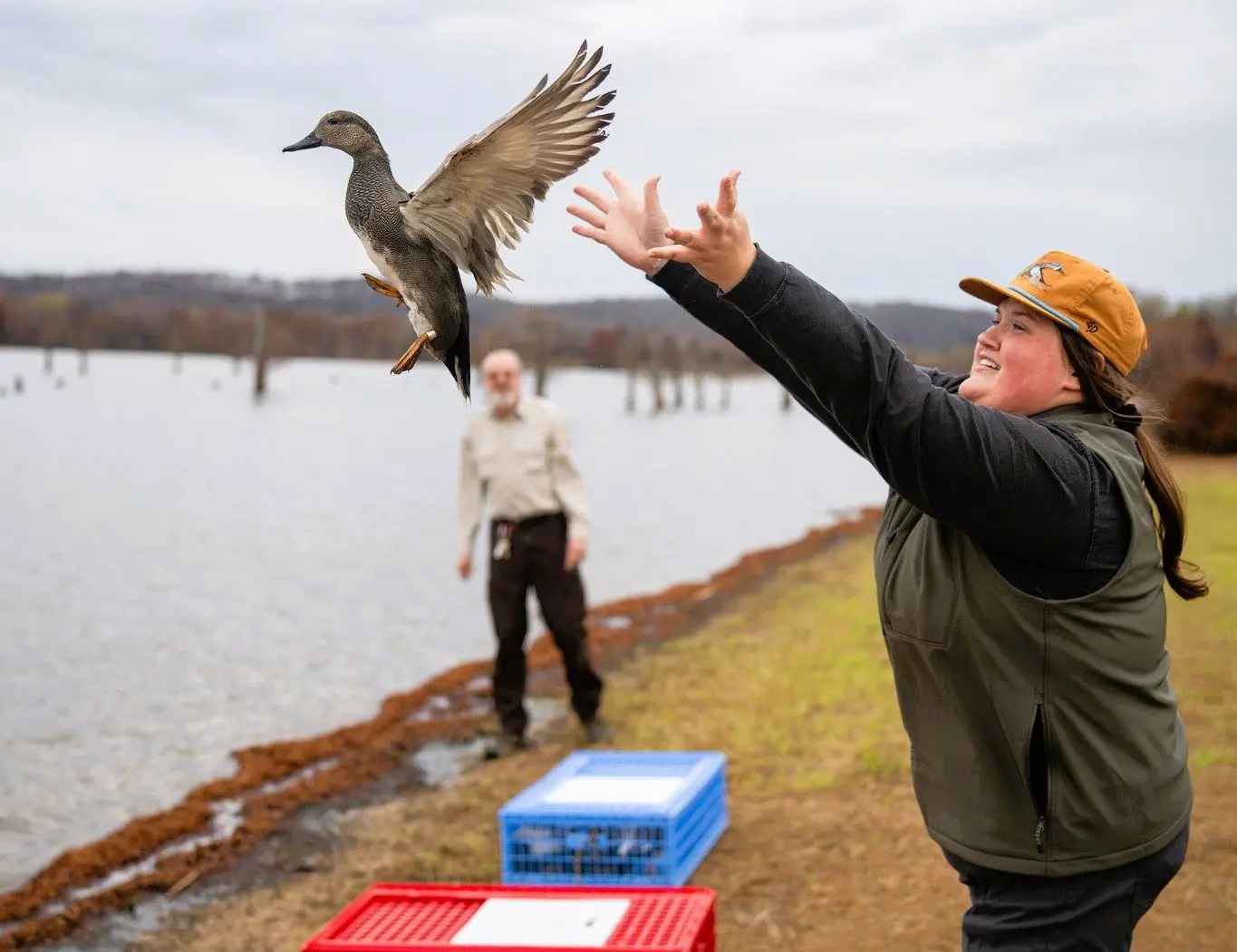refuge-banding-winter-25