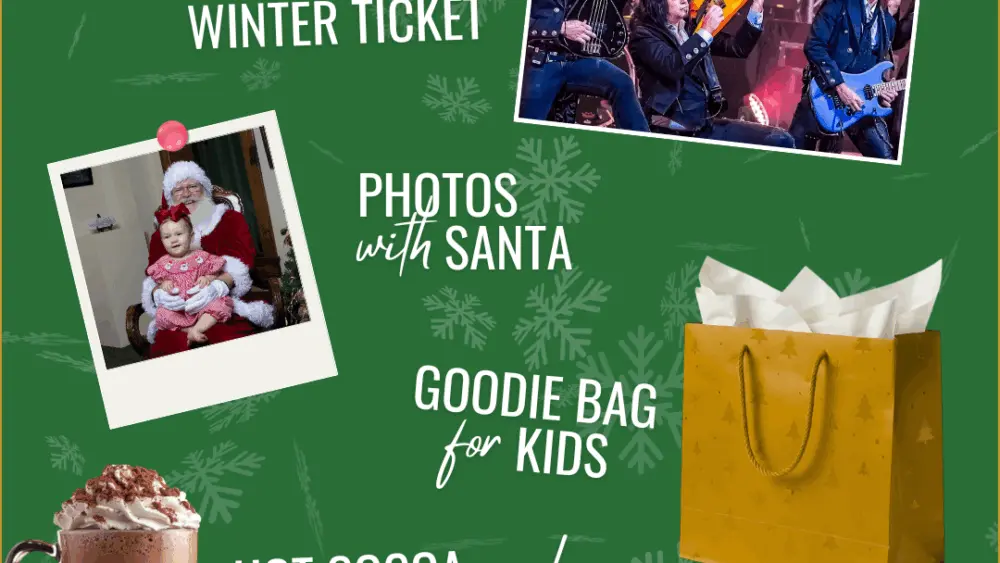 d20_4x5_wizardsofwinter_santa