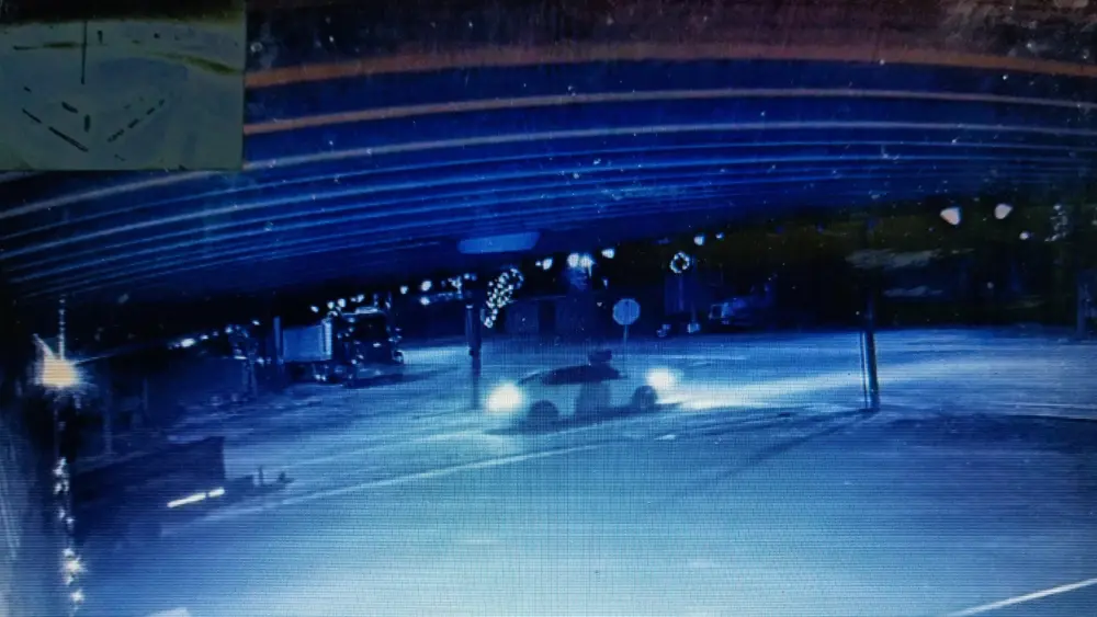 willow-tree-investigat