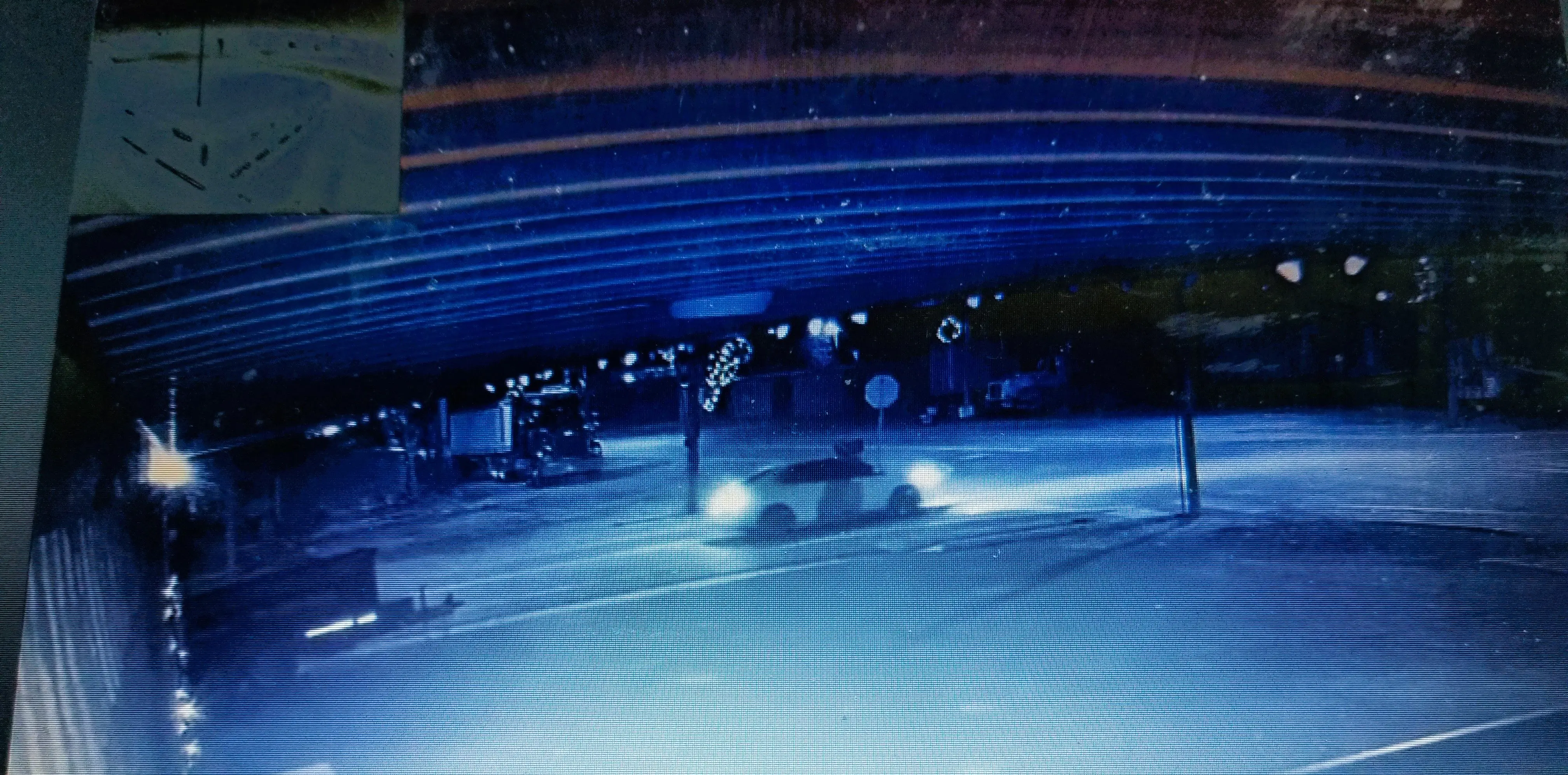 willow-tree-investigat