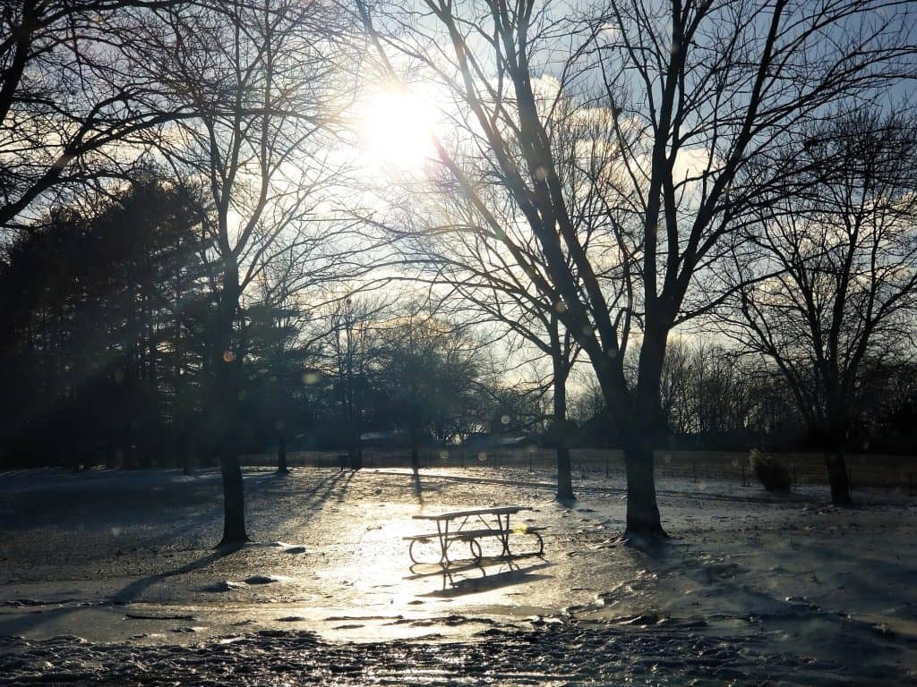 Paris/Henry County Closings