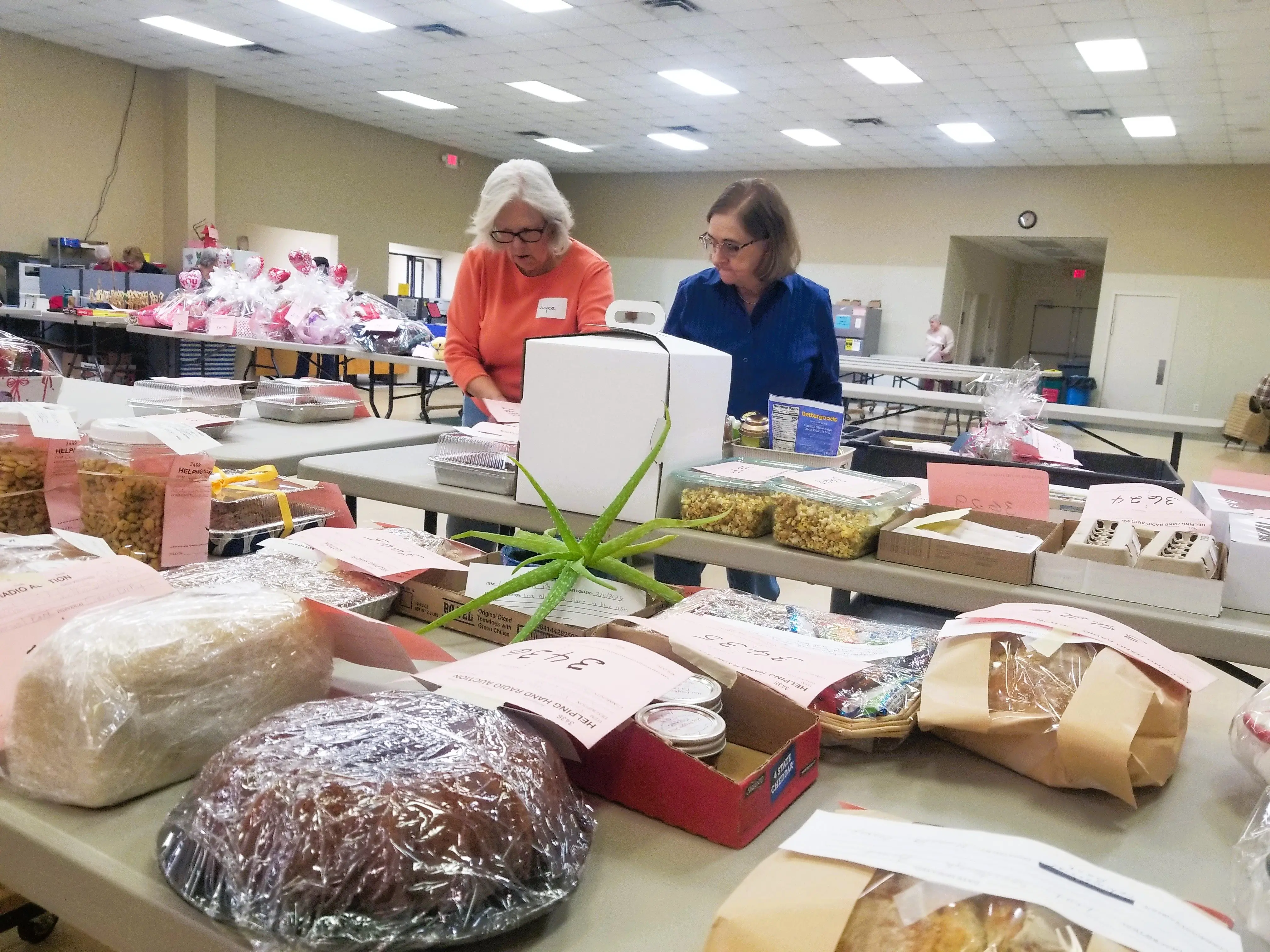 help-26-commer-joyce-and-lady