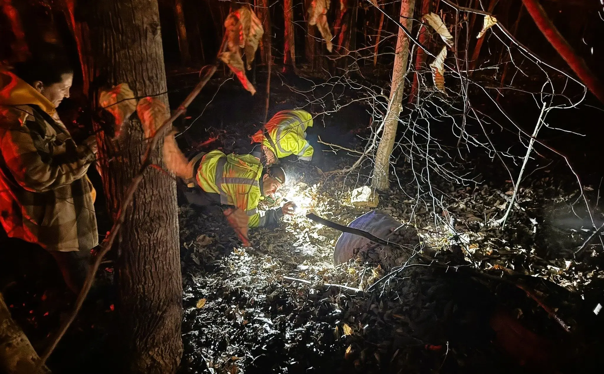 stew-co-doggie-rescue