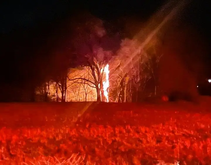 palmersville-tree-on-fire