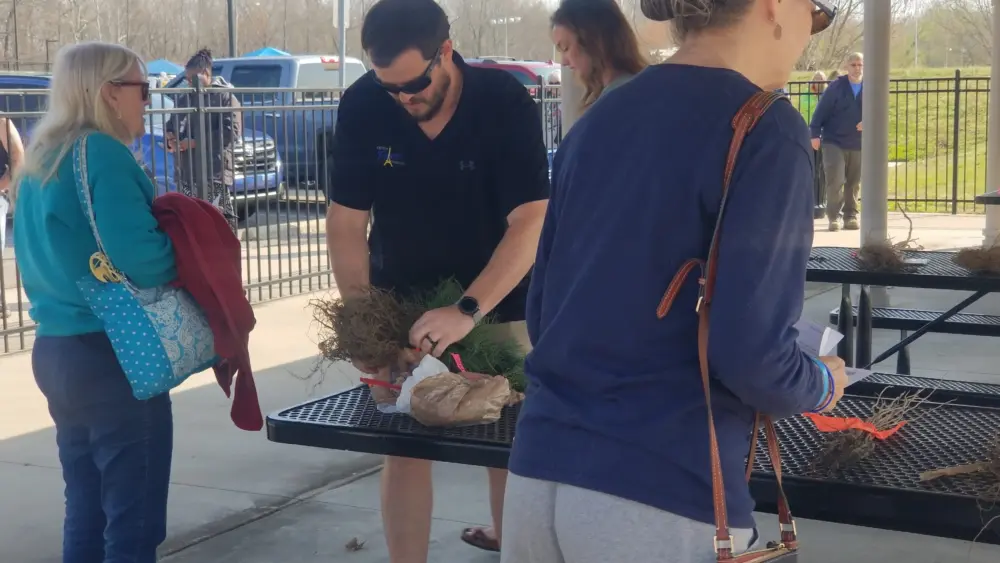 trees-26-caleb-murname