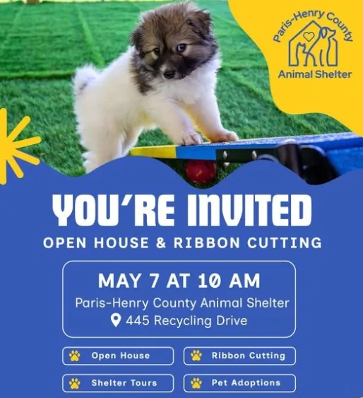 animal-shelter-open-house